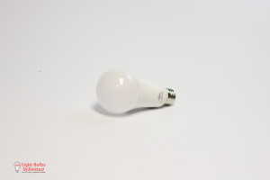 Light-Bulb