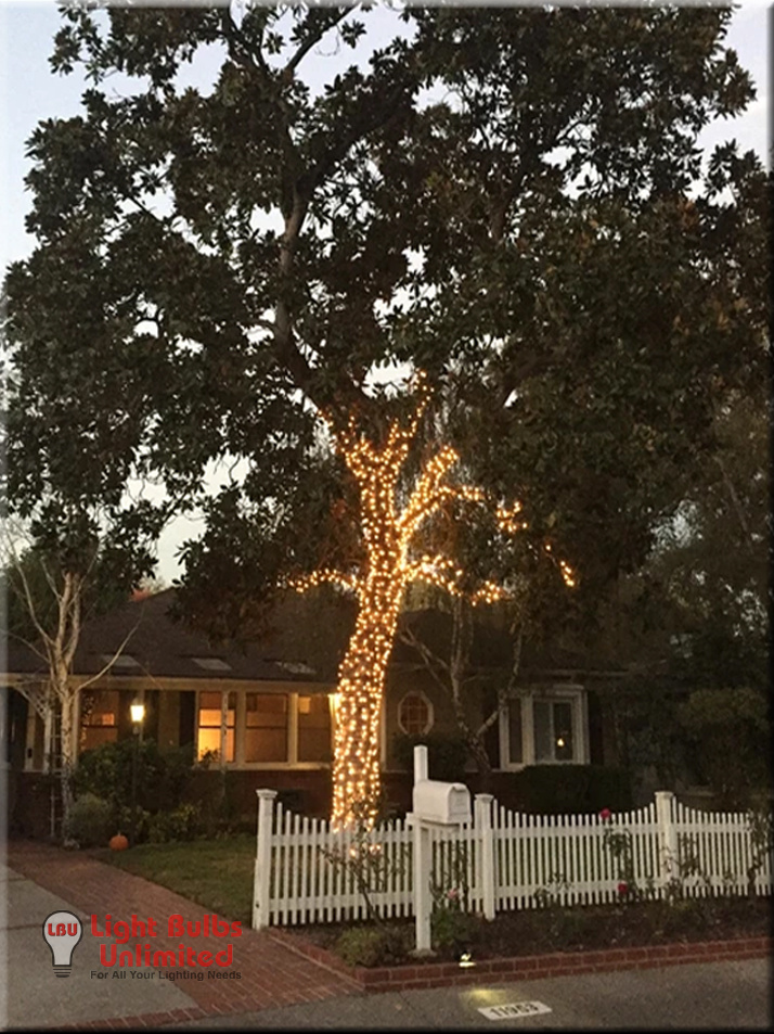 Tree Wrapping 1
