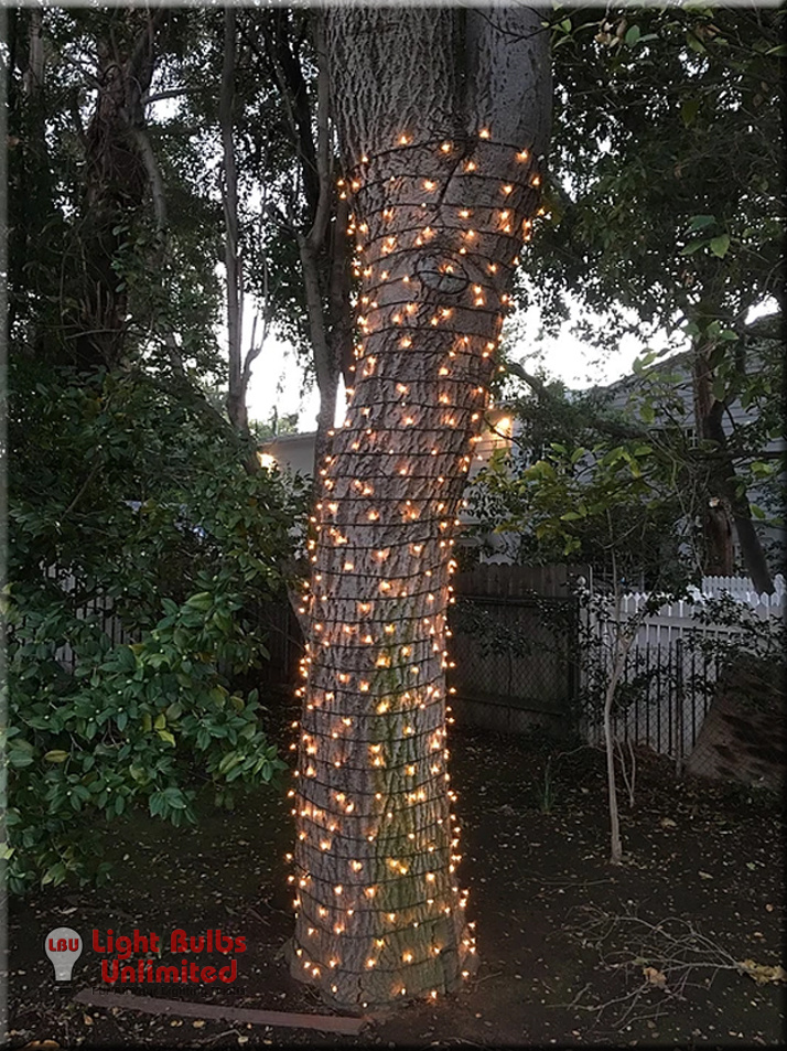 Tree Wrapping 17